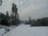 P1010026.jpg