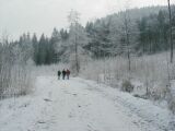 P1010029.jpg