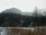 P1010035.jpg