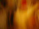 P1010099.jpg