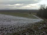 IMG02718