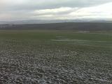 IMG02721