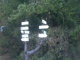 IMG02727