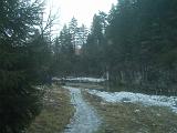 IMG02741
