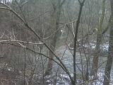 IMG02744