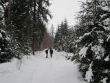IMG_0098