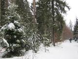 IMG_0099