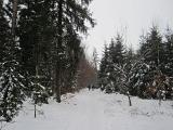 IMG_0100