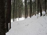 IMG_0105