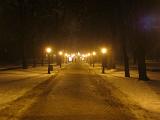 IMG_0135