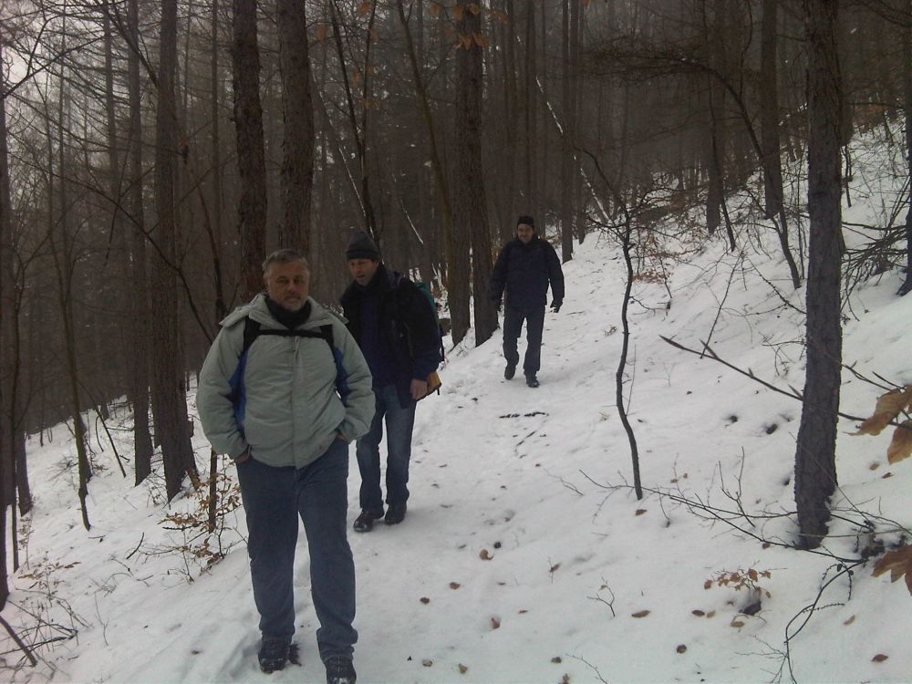 IMG00210-20110108-1051