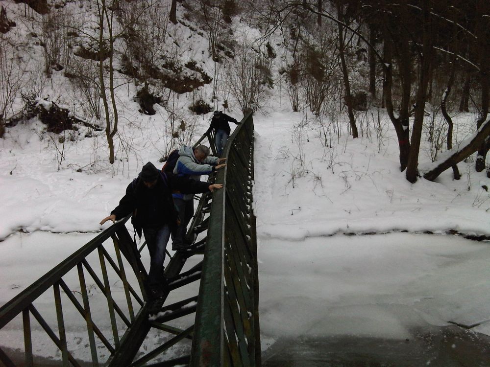 IMG00215-20110108-1308