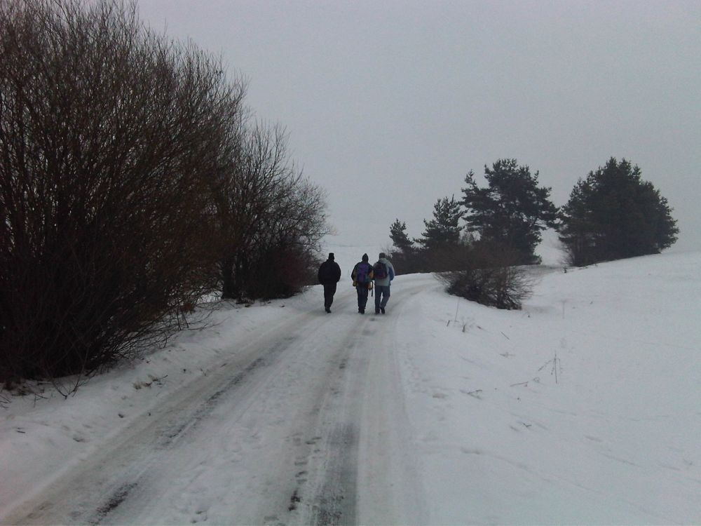IMG00223-20110108-1518