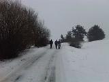 IMG00223-20110108-1518