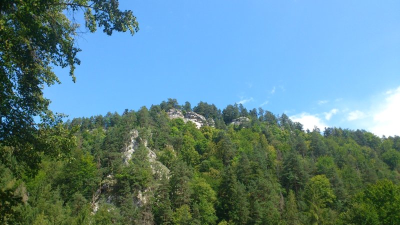 DSC_0063.JPG