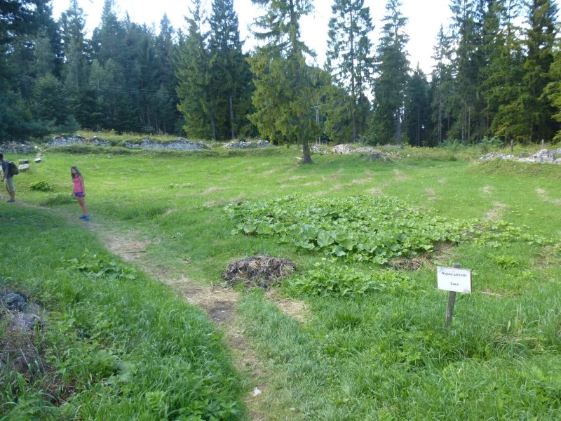 P1030916.JPG