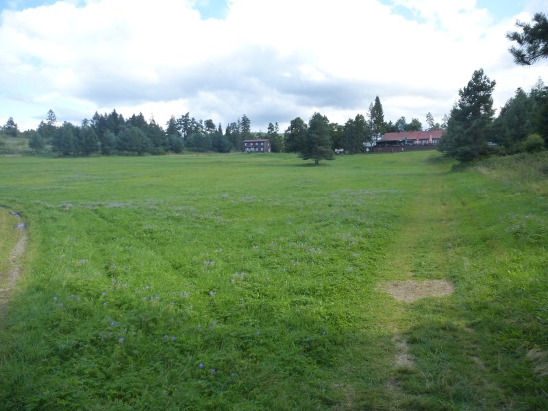 P1030920.JPG