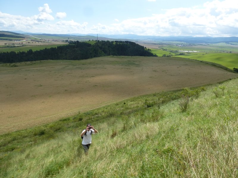 P1030938.JPG