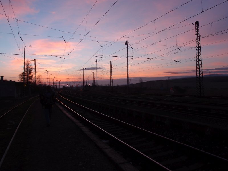 P1177537.JPG