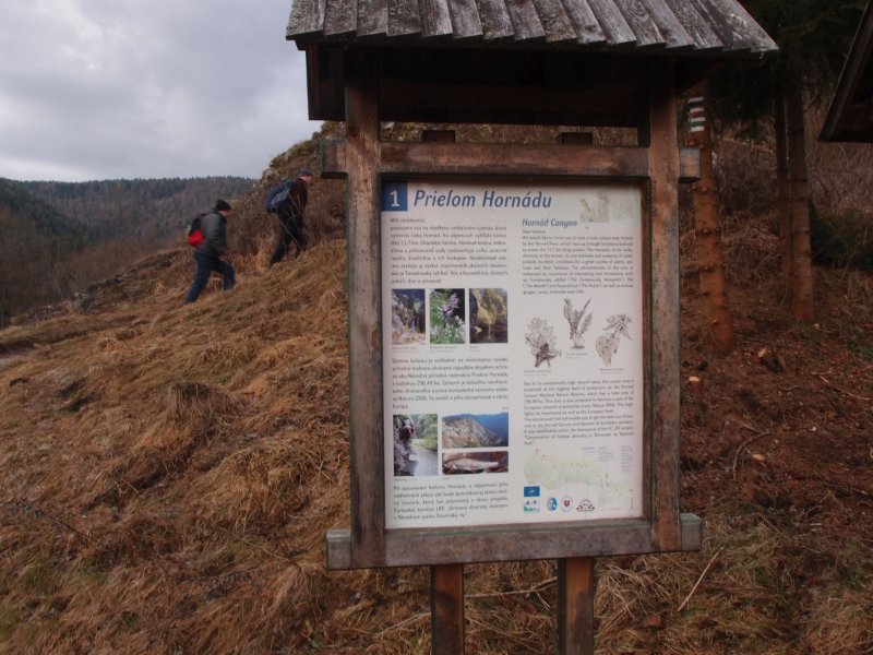 P1177573.JPG