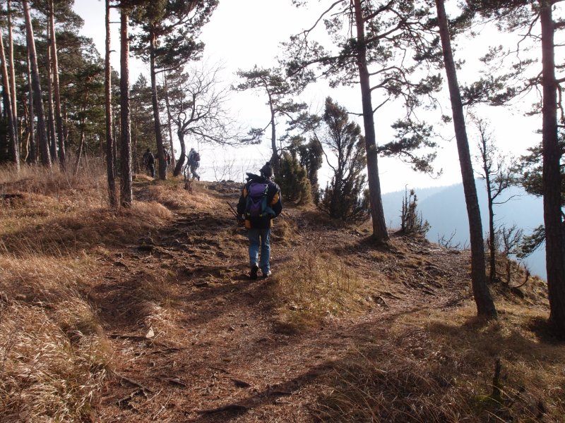 P1177639.JPG