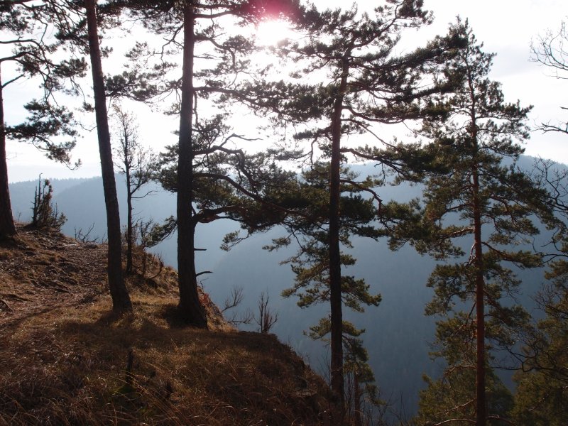 P1177640.JPG