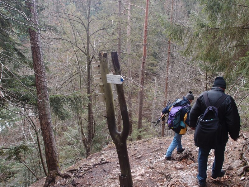 P1177649.JPG