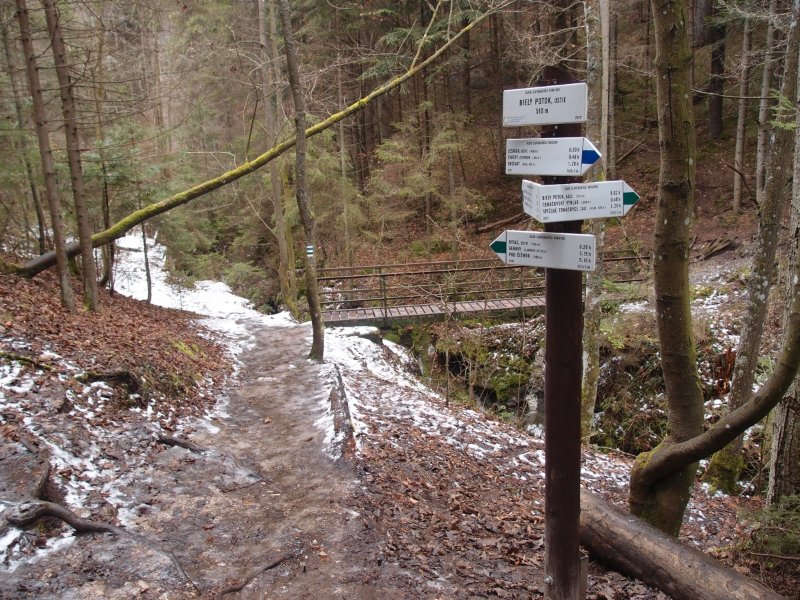 P1177651.JPG