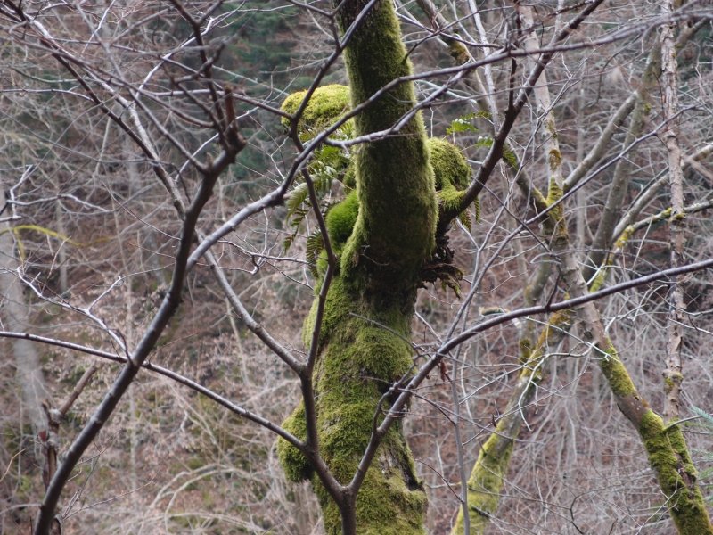 P1177653.JPG