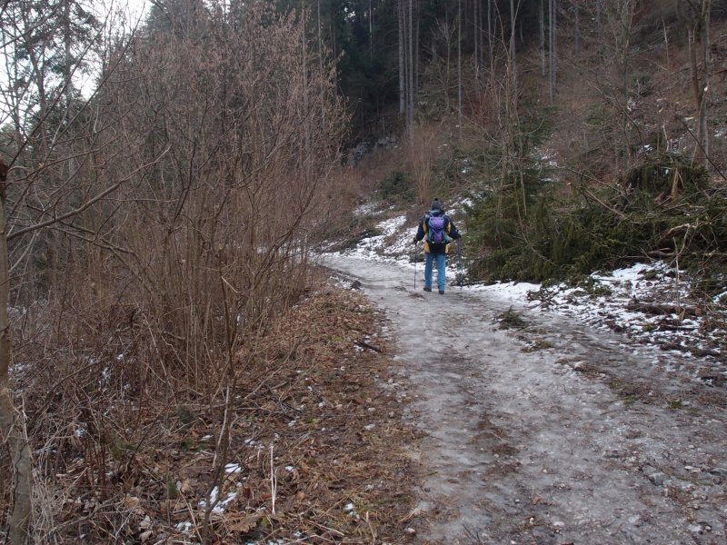 P1177660.JPG