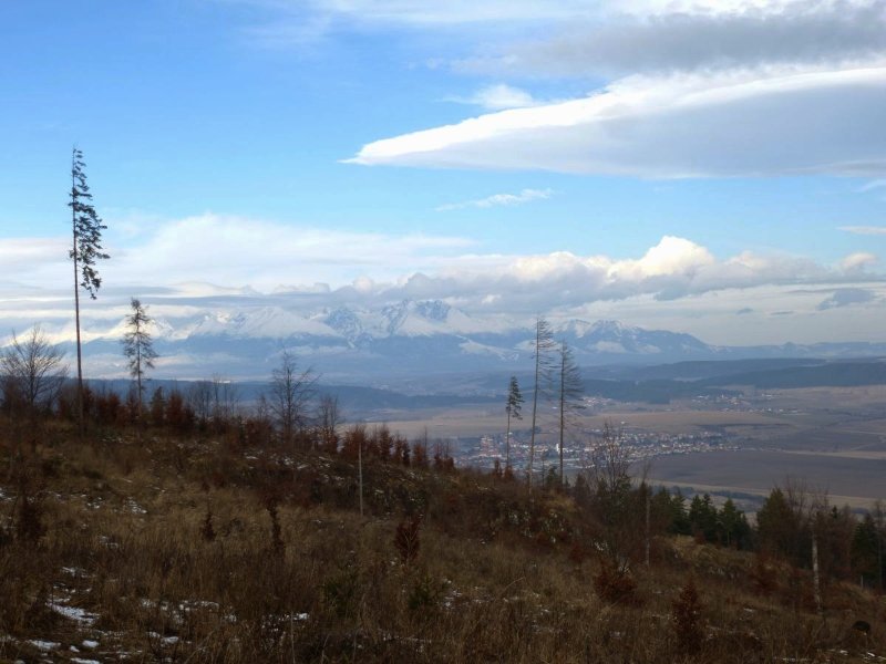 P1050047.JPG