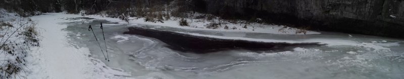 IMG_20170121_093437.jpg