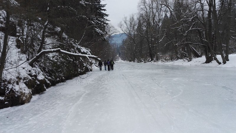 IMG_20170121_095440.jpg