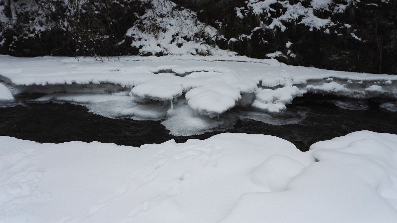 IMG_20170121_114740.jpg