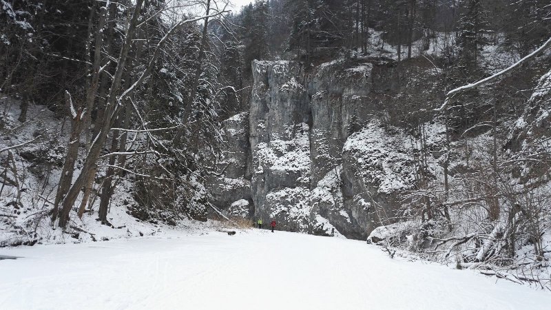 IMG_20170121_122449.jpg